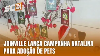 Árvores de Natal com fotos de pets incentivam adoção em Joinville