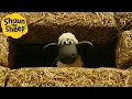 Lagu Hay House 🐑 Shaun the Sheep 🐑  - Cartoons for Kids 🐑 Full Episodes Compilation [1 hour]
