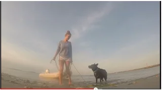 The Question of Giving Up | SMLS S3E01