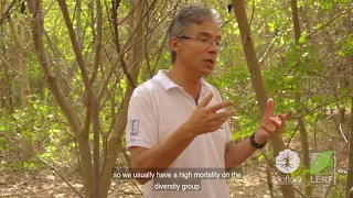 Metodologia para Restauração Florestal em situações SEM potencial de Regeneração Natural