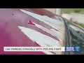 Download Lagu Thousands of Florida drivers report car paint peeling off in sheets
