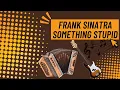 Download Lagu Frank Sinatra - Something Stupid | Accordion | Buttonbox | Harmonika