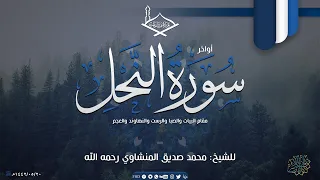 أواخر سورة النحل بعدة مقامات عجم بيات رست صبا نهاوند للشيخ محمد صديق المنشاوي جودة عالية 