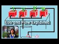 Ebb and Flow Hydroponic System Explained a k a Flood and Drain Hydroponics