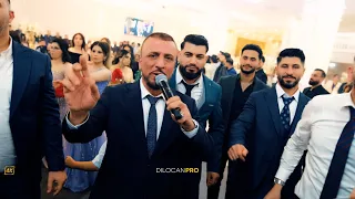 Tarek Shexani Danial Sarvin Part05 Gold Deko DilocanPro Hochzeit Wedding Kurdish Dilocan 