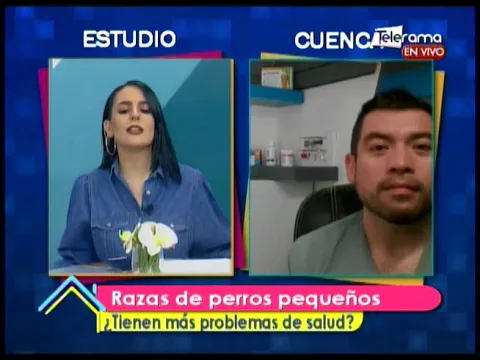 Razas de perros pequeños ¿tienen más problemas de salud?