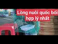 Download Lagu MẪU LỒNG HỢP LÍ NHẤT KHI NUÔI CHIM QUỐC TRẰNG NGHỊCH TRÍCH RÉ || LỒNG THUẦN QUỐC BỔI 0378991499