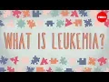 What is leukemia - Danilo Allegra and Dania Puggioni