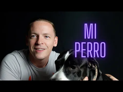 A1: lección de listening — Mi Perro, Oreo! Input Comprensible Nivel Intermedio | Pensando Inglés