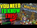 Everything You NEED To Know About Glyphs in Wrath of the Lich King Classic