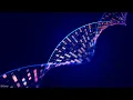 Familial Mutation Targeted Testing FMTT
