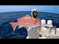 Solo Trip Commercial Red Snapper Fishing Profit Breakdown