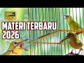 Lagu 🔴 LIVE Masteran Pleci Tembakan Mewah Terbaru 2026 !!!