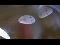 Sigur Rós - Fjögur Píanó (directed by Philip Clemo)