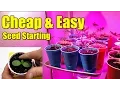 Cheap Easy Seed Starting Pots Using Plastic Cups