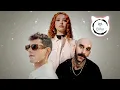 Lost Frequencies, Elley Duhe, X Ambassadors - Back To You (Amice Remix)