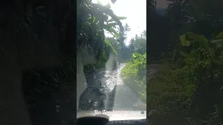 borngin na malungun thomas dj ft sumaida tambunan tapsel