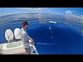 Fishing Uncharted Waters - Bonus Critter