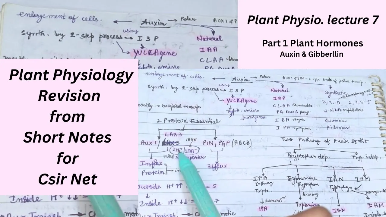 Plant Physiology Revision | Short Notes for CSIR NET, GATE, DBT, ICMR
