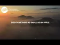 Kacey Musgraves - The Architect (Lyrics)