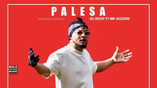 du richy palesa ft mr jozzers original 