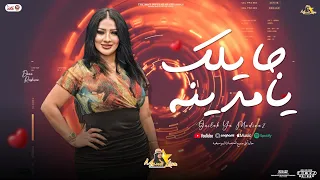 جايلك يا مدينة   دعاء رشوان الموناليزا   حسام حسن   جديد بمنوعات ومواويل        دندنها