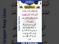Download Lagu Surah e Al-Muaida Ayat No 55][55سورۃ المائدہ آیت نمبر@GripperDeepLines