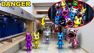 If you see the ANIMAL HOSPITAL ANOMALIES IN REAL LIFE RUN! (THEY ARE DANGEROUS)