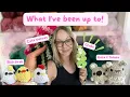 What I ve been up to I have a lot of fun makes to share with you
