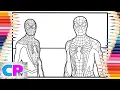 Spiderman 2 IPad Pro Coloring RUD - Memory NCS Release