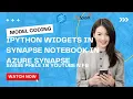 IPython Widgets in Synapse Notebook free synapse course