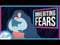 You Can Inherit Fear
