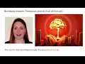 Remember Meaning Of Bombast Using Pictures and Mnemonics