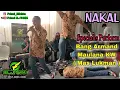Download Lagu Armand Maulana KW Mas Lukman Specialis Perform Bersama EL-FAHIM GAMBUS TEGAL ( Cover Nakal )