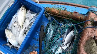 PESCA DE REDE DE ESPERA - COMPARTILHO DE DICAS E CONSERVAÇÃO DO PESCADO AINDA NO MAR .