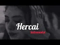 Hercai - (Instrumental)