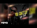 Download Lagu Vybz Kartel - You Can't Say (Official Audio)