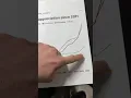 How Much is Gold per Gram