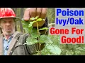 The Secret To Killing Poison Without Killing Everything Else