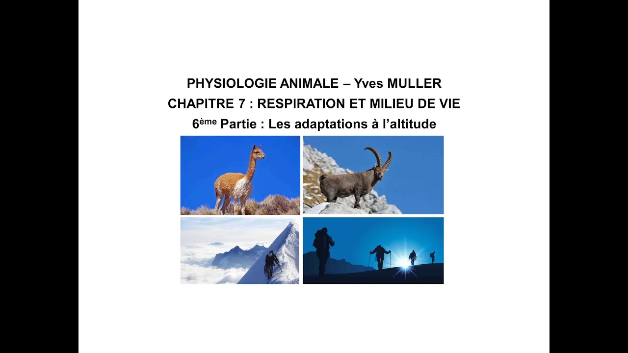 Chapitre 7-6 Les adaptations de l’homme et des animaux à l’altitude