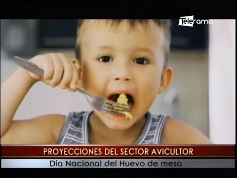 Proyecciones del sector avicultor día nacional del huevo de mesa