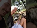 Download Lagu Hyena Welcome🥰 #deanschneider #wildlife #animals