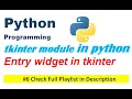 Entry widget in tkinter Python Programming Edutainment