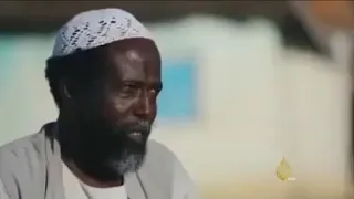 حقيقة قبائل البني عامر الخاسا و تهجيرهم من إريتريا ٢ 