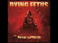 Subjected to a Beating - Dying Fetus