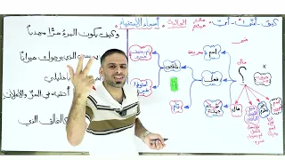 الاستفهام: المحاضرة (٢٦)