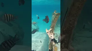 Sailing Aquarius ADVENTURE!!!