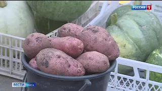 Цена на молодой картофель бьет все рекорды