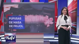Pupusas de masa de frijol | Noticias 4 Visión | El Salvador