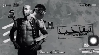                            دندنها